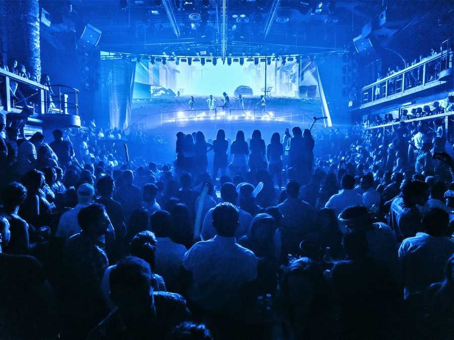 Coco Bongo-Gold Member